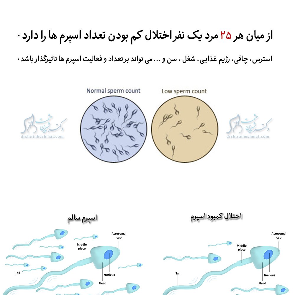 عوامل موثر بر کمیت و کیفیت اسپرم